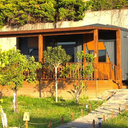 Natural Garden Tiny House * Yalıkavak